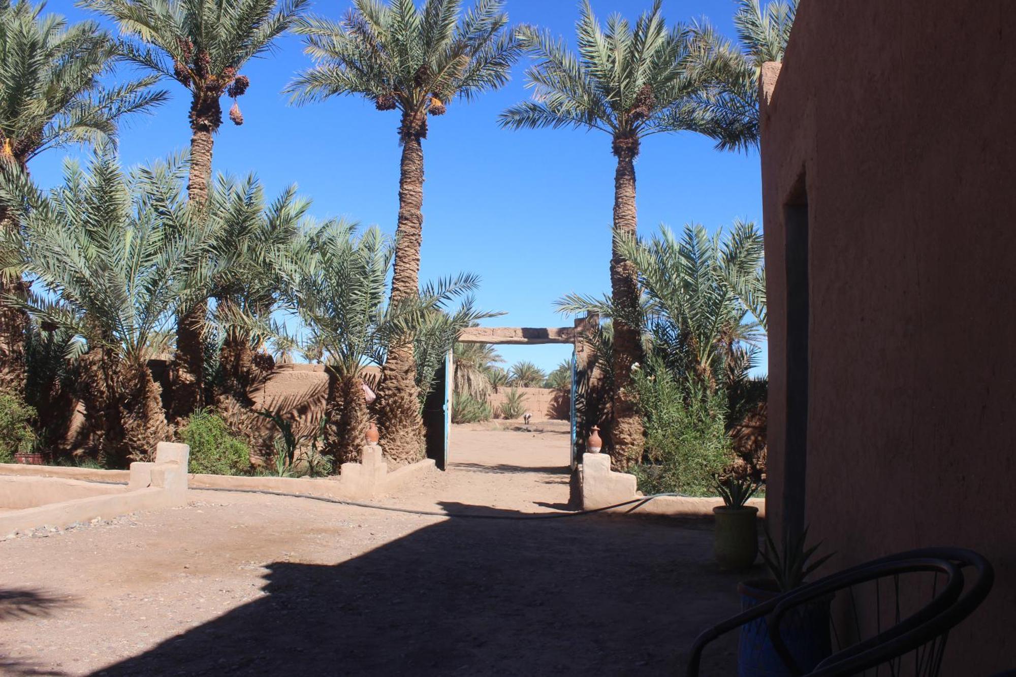 Kasbah Desert Camp M'Hamid Exterior foto